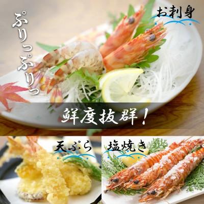 ふるさと納税 松浦市 新松浦漁協  活きくるまえび　400g |  | 01