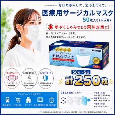 ふるさと納税 名古屋市 不織マスク50枚大人用(サージカルマスク)5個