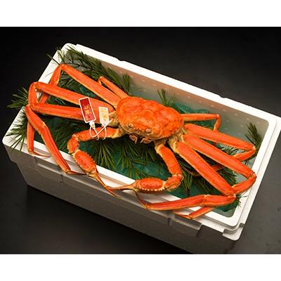 ふるさと納税 射水市 本ずわいがに約700g(孫七タグ付) |  | 01