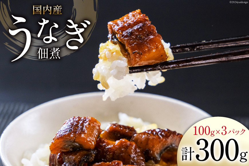 
うなぎ 佃煮 国産 静岡 100g ×3パック 計300g [静岡鰻販売 静岡県 吉田町 22424152] 鰻 ウナギ 真空パック つまみ 酒の肴 惣菜 おかず ご飯のお供 冷凍
