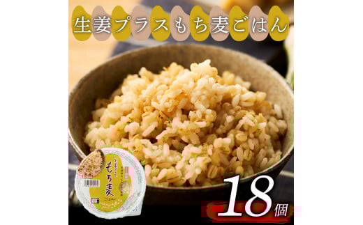 生姜プラスもち麦 ごはんパック 160g 18個 生姜 もち麦 麦 米 ごはん ご飯 こめ パックライス パックご飯 パックごはん ご飯パック ごはんパック パック ライス 備蓄 防災 保存 電子 レンジ 温めるだけ レンチン 簡単 調理 健康 美容 ヘルシー ダイエット レトルト インスタント おいしい 人気 おすすめ 国産 食物繊維 穀物 個包装 18 18食 おくさま印 大阪 松原