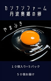 【ふるさと納税】丹波奥郷の卵　やまぶき　45個+5個破卵補償　(約3kg）