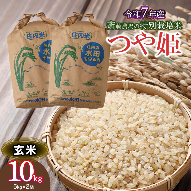 【令和7年産】【新米】 斎藤農場の特別栽培米 つや姫 玄米 10kg 山形県鶴岡市 K-7117
