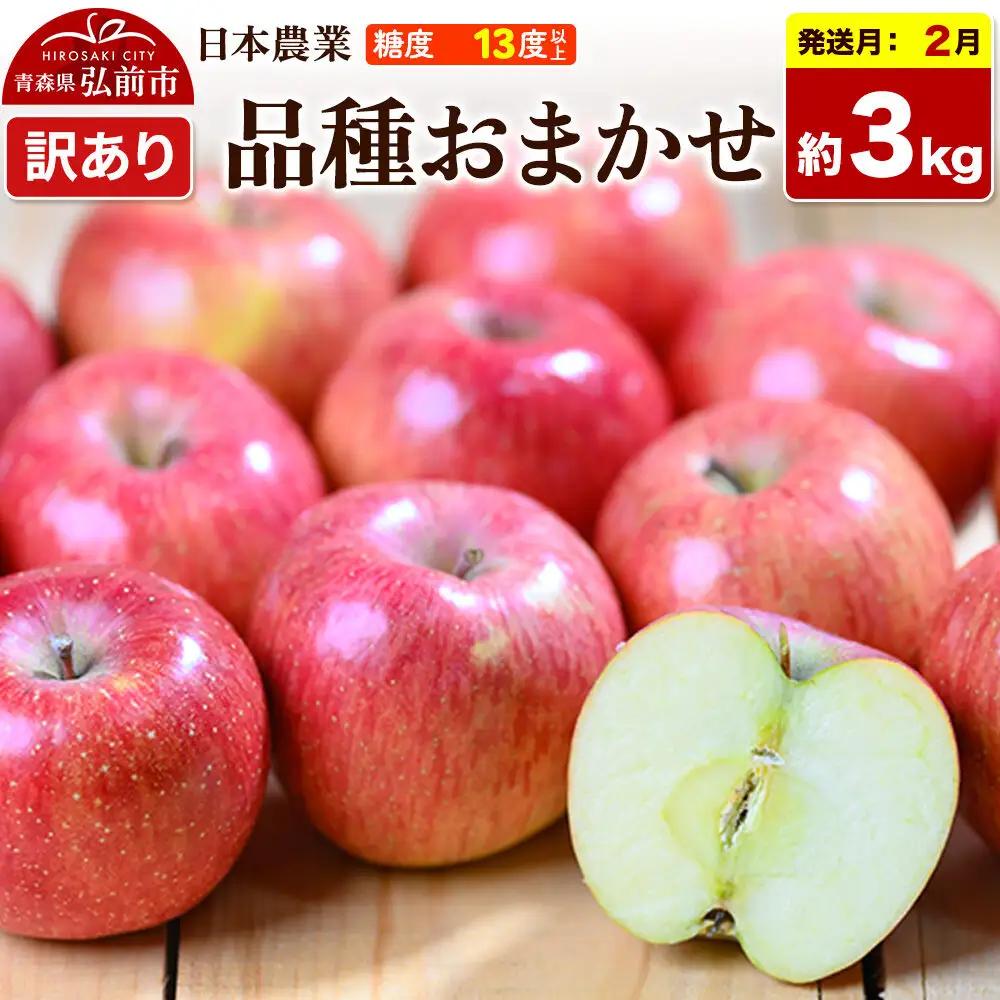 【27年2月発送】りんご 品種おまかせ【訳あり】約3kg 平均糖度13度以上 青森県 弘前市 果物 フルーツ 林檎 リンゴ くだもの 不揃い 規格外 先行受付