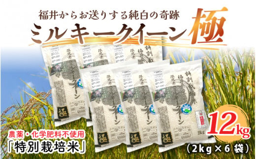 【先行予約】【令和6年産・新米】お米の女王！農薬・化学肥料不使用 特別栽培米 ミルキークイーン極12kg (2kg × 6袋)（玄米）【2024年10月中旬以降順次発送予定】 [D-2917_02]