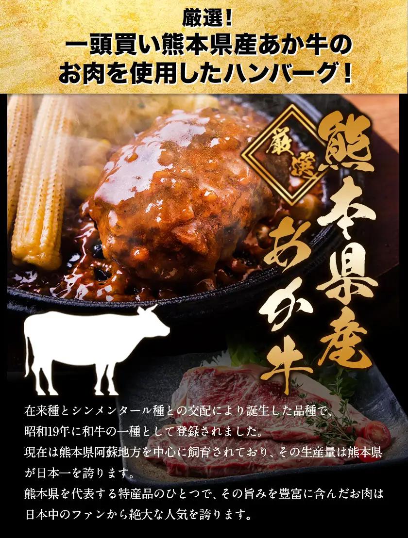 【ふるなびWEEK対象】ハンバーグ 140g 13個 熊本県産 あか牛 100% 生ハンバーグ
