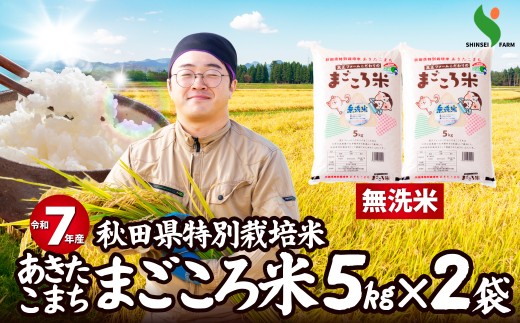 令和7年産秋田県特別栽培米あきたこまち「まごころ米(無洗米)」10kg 100P9203　/ 米 無洗米 10kg あきたこまち 令和7年産 特別栽培米 まごころ米 秋田県 お米 弁当 おにぎり 大館 東北 秋田 小分け こわけ 大館市 10キロ 10ｷﾛ 10きろ