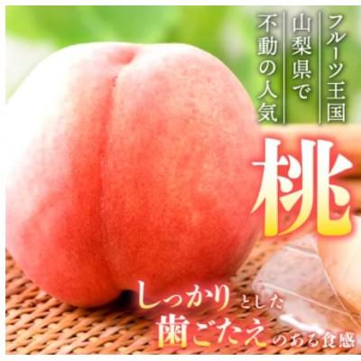 ふるさと納税 山梨市 【発送月固定定期便】桃3玉(1kg)　シャインマスカット1房(500g以上)全2回 |  | 01