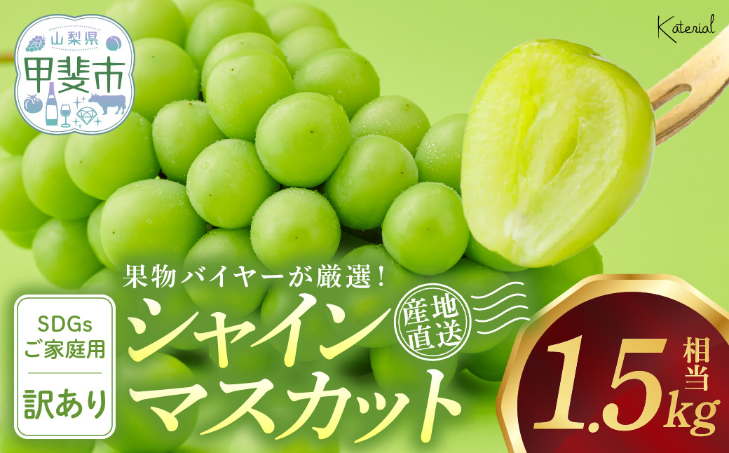 
                  【（2026年/令和8年）発送＜先行予約＞】 訳あり 約1.5㎏ SDGs シャインマスカット 山梨県産 国産 産地直送 人気 おすすめ 贈答 ギフト お取り寄せ フルーツ 果物 くだもの ぶどう ブドウ 葡萄 わけあり ワケアリ 新鮮 甘い 皮ごと 甲斐市 AD-279
                
