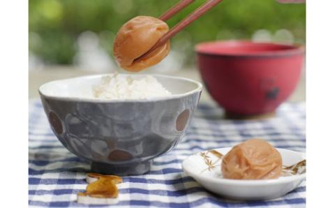 最高級紀州南高梅・大粒はちみつ梅干し 1kg【ご家庭用】 / 梅干 梅干し 梅 うめ はちみつ 蜂蜜 南高梅 家庭用【inm110】