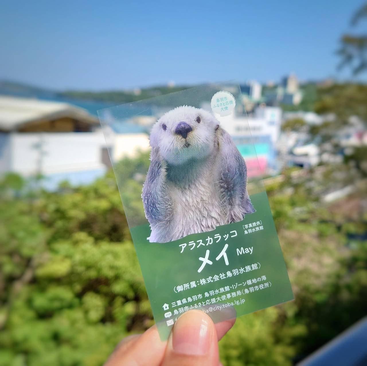 
            K-5とうめいのめいしのめいし
          