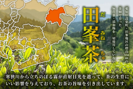 何も加えてない・ピュアな紅茶★無農薬 田峯紅茶 5袋セット 紅茶 ホット アイス アイスティー 茶 -022