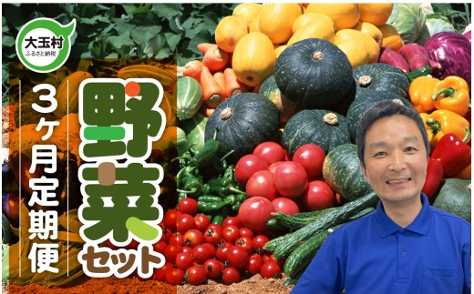 大玉村の野菜セット《3ヶ月定期便》10種類前後の野菜詰め合わせ！