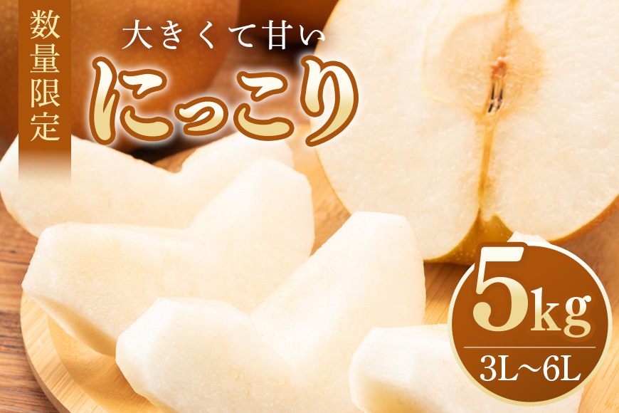 【数量限定・先行予約】 梨 にっこり 5kg 3L～6L 7～14玉 なし ナシ 果物 フルーツ 国産 【9月20日以降発送予定】 70-O