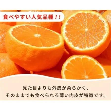 【ご家庭用】紀州有田産不知火(しらぬひ) 6kg【配送不可地域：離島】【1560339】