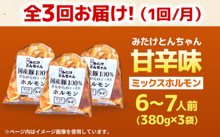 【3回定期便】 「元祖みたけとんちゃん」 昔ながらのミックスホルモン 3袋 / モツ もつ レバー ホルモン / 御嵩町 / 藤よし[AVAA085]