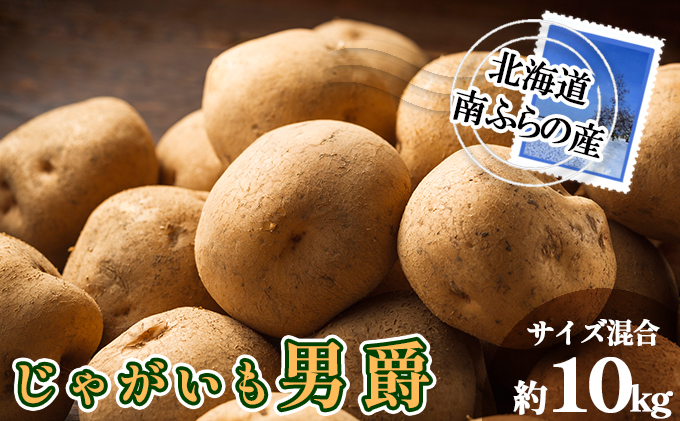 南ふらの産 じゃがいも 男爵 約10kg【サイズ混合】 北海道 
