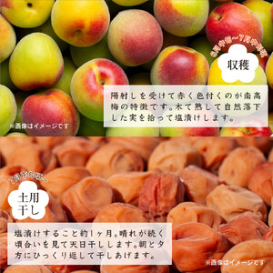 紀州南高梅つぶれ梅 はちみつ漬 400g×4パック 塩分8% A-538