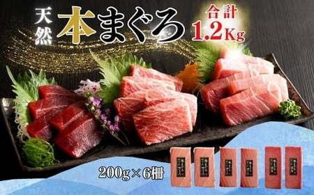 【みんなの心彩る】天然本まぐろ 1.2kg（大トロ400g、中トロ400g、赤身400g） M020-025-02