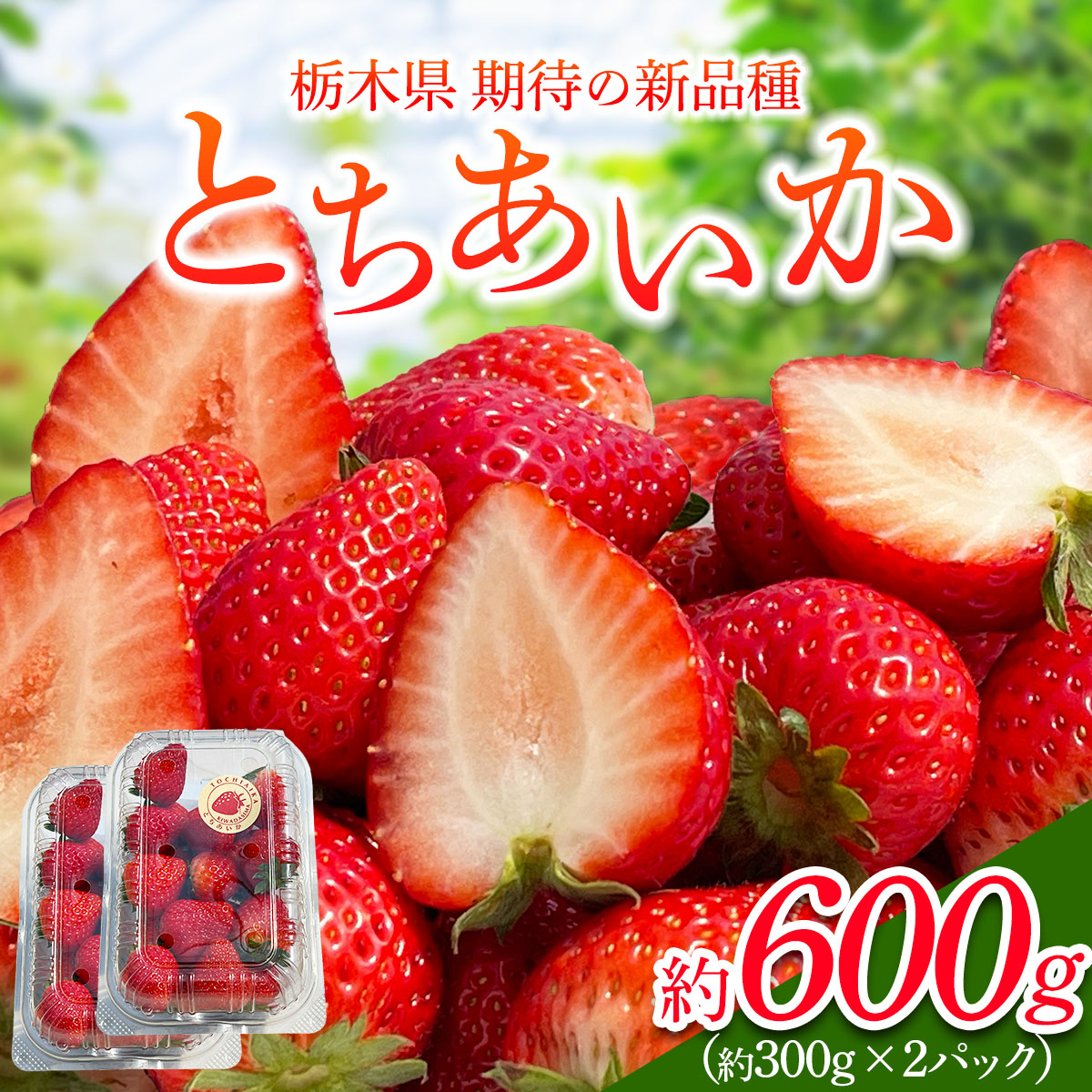 [先行予約]「とちあいか 2パック」計約600g  可愛いハート形 [2026年1月中旬から順次発送]｜とちあいか いちご イチゴ 苺 果物 フルーツ 日光産 栃木県産 期間限定 数量限定 [0674]
