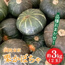 【ふるさと納税】 かぼちゃ 2玉 約 3kg 化学肥料 化学農薬 不使用 南瓜 夏野菜 くり将軍 九重栗 くり天下 煮物 料理 スイーツ おせち ハロウィン 阿波市 徳島県