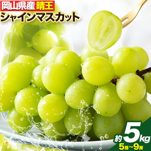 マスカット 岡山県産 シャインマスカット 晴王 約5kg ( 5~9房 ) 有限会社土方商店 《8月中旬～11月末頃より順次出荷（土日祝除く）》岡山県 備前市 マスカット ぶどう フルーツ 果物 送料無料