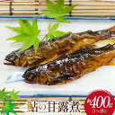 魚 鮎の甘露煮 約400g [あゆの是則 宮崎県 日向市 452060097] あゆ アユ 真空 常温