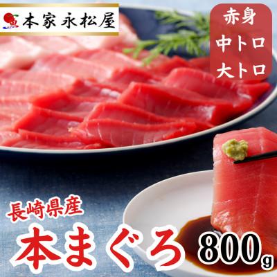 ふるさと納税 佐世保市 長崎県産本マグロ「赤身・中トロ・大トロ」三種セット(計800g以上)
