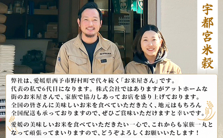 ＜令和7年産 お米 食べ比べ 3種セット 合計約6kg（各2kg）＞ 米 コメ こめ 白米 精米 コシヒカリ にじのきらめき ヒノヒカリ 穀物 特産品 宇都宮米穀 愛媛県 西予市【常温】『最短10営業