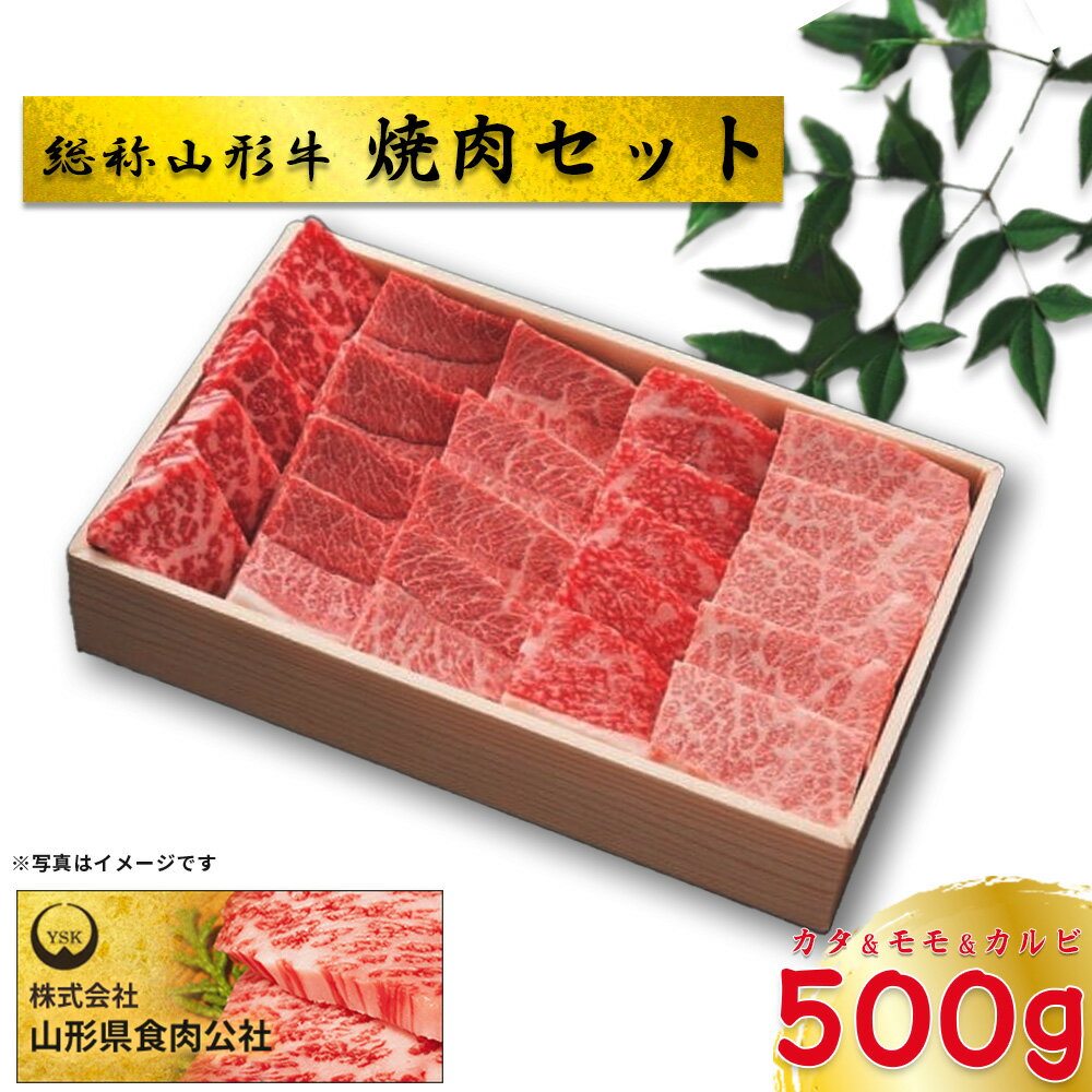 【ふるさと納税】総称山形牛　焼肉セット　500g　肉 牛肉 カタ モモ カルビ 焼肉 山形牛 ブランド牛 グルメ ギフト 御馳走 ご褒美 もがみ中央農業協同組合　【06363-0143】