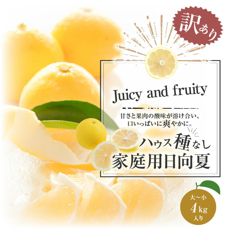【ふるさと納税】《2026年発送 先行予約》【数量・期間限定】【訳あり】ハウス種無し日向夏 家庭用(大～小混4kg) | みかん 訳ありみかん 蜜柑 柑橘 種無し フルーツ 訳あり 訳アリ 食品 果物 不揃い 大容量 お取り寄せ 予約 ご家庭用 |