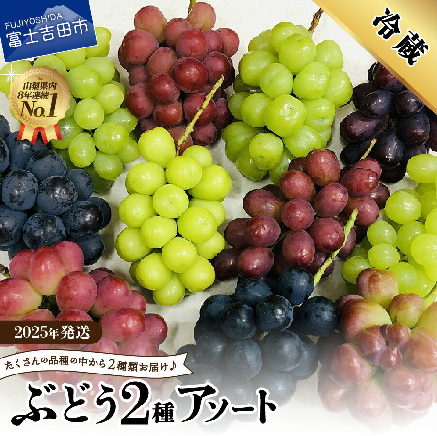 【ふるさと納税】 アソート シャインマスカット ぶどう フルーツ お任せ 2品種 2房 シャイン マスカット 赤ぶどう 緑ぶどう 黒ぶどう 2025年発送 果物 くだもの 葡萄 マスカット 詰め合わせ セット マツコの知らない世界 テレビで紹介 富士吉田市 山梨
