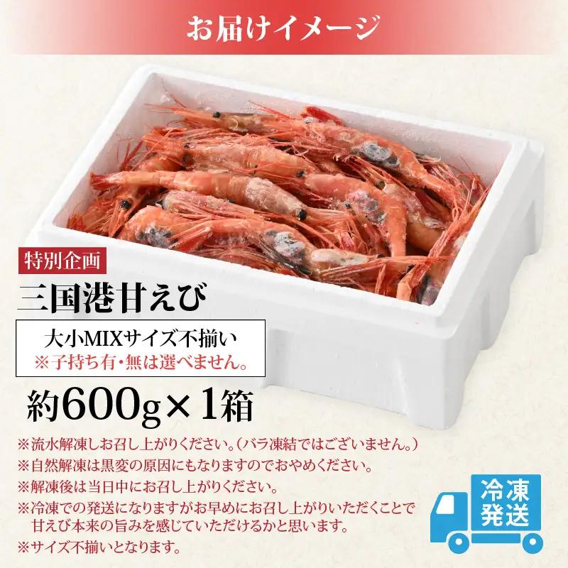 【訳あり】三国港から産地直送！「三国港甘えび」 500g+100g 合計600g～本場の濃厚甘海老～【えび エビ 濃厚 甘い 刺身 生 国産】 [A-6233]