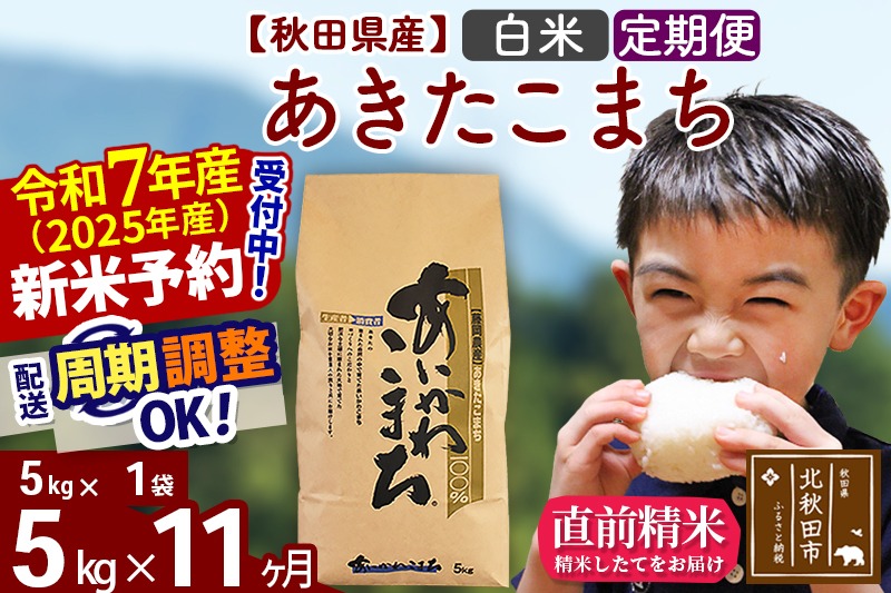 ※令和7年産 新米予約※《定期便11ヶ月》秋田県産 あきたこまち 5kg【白米】(5kg小分け袋) 2025年産 お届け時期選べる お届け周期調整可能 隔月に調整OK お米 藤岡農産|foap-10311