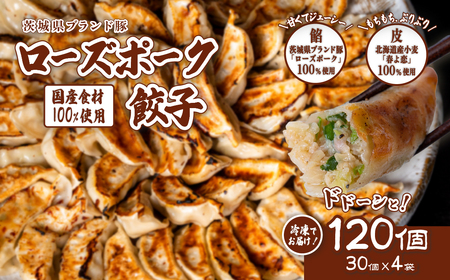 餃子 120個 ブランド豚 ローズポーク 餃子