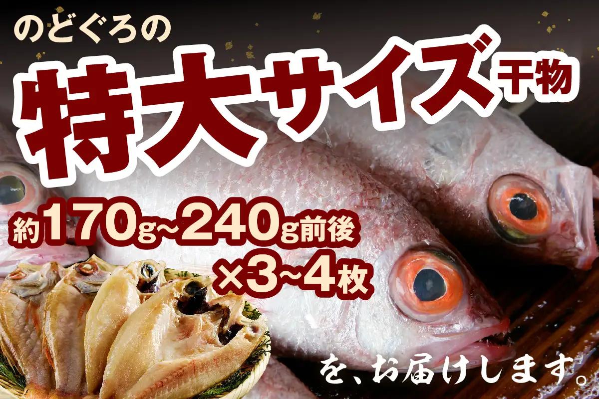 のどぐろ干物 特大3~4枚（計700g前後）のどぐろ本来の旨味に出会う渾身の干物 河野乾魚店 魚介類 魚貝類 干物 干もの 一夜干し お祝い お取り寄せ グルメ 【019_1949】