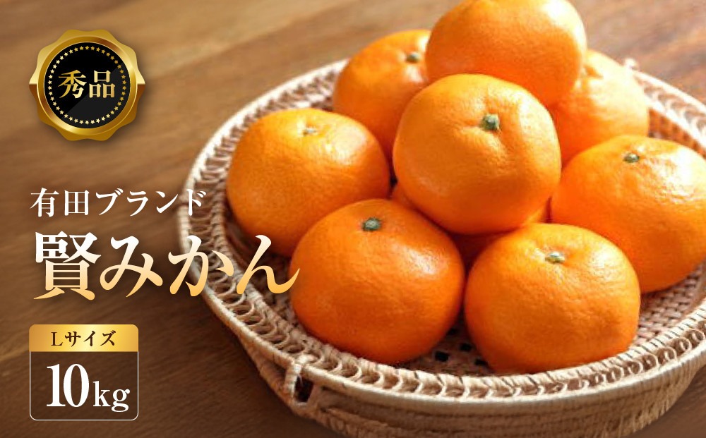[秀品]有田のブランド「賢みかん」10kg(Lサイズ)［2026年11月中旬頃より順次発送］ BZ013