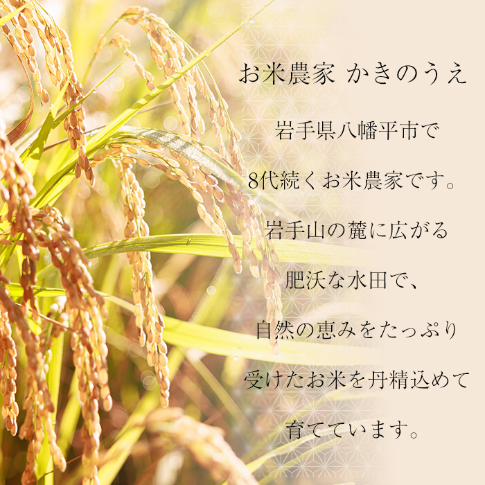 八幡平市産 お米つきあかり ご飯パック 150g×24パック ／ かきのうえ レトルトパック レンチン 国産 岩手県産