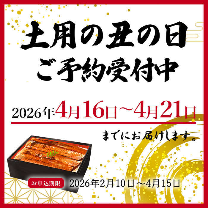 大型サイズ　ふっくら柔らか　国産うなぎ蒲焼き　3尾　化粧箱入［春土用の丑の日のうなぎ］［～4月21日までにお届け］［UT06］