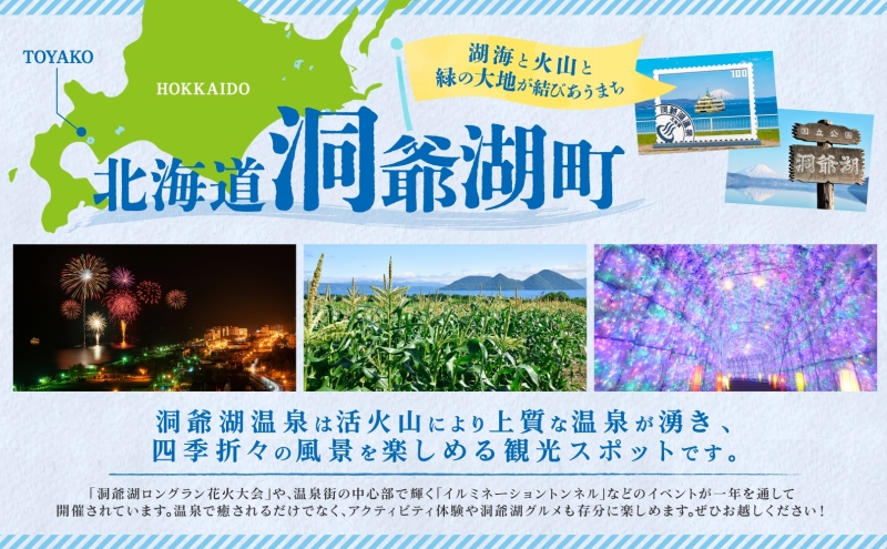 北海道 洞爺湖町産 ブロッコリー 計600g 60g 10袋 野菜 冷凍野菜 小分け 時短 簡単 調理 阿部自然農園 冷凍 北海道産 カット済み 一人暮らし 送料無料 洞爺湖町 