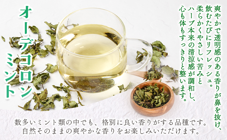 ＜ハーブティー （オーデコロンミント 約13g）＞国産 ドライ ハーブ お茶 ドリンク【MI675-bi】【美香園】 オーデコロンミント 約13g