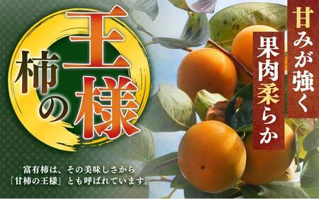 たねなし柿 約 5kg |  大人気 人気 柿 かき フルーツ 果物 奈良県 五條市 萩本農園 ギフト おすすめ 10月 発送 カキ 秋の味覚 旬 甘い 大容量 農家直送 産地直送 グルメ お取り寄せ