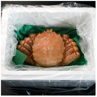 ふるさと納税 白老町 【浜ゆで】北海道産 冷凍ボイル毛ガニ (1尾700g〜800g前後) 1尾 |  | 03