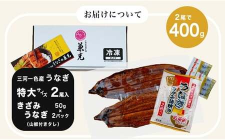 愛知県三河一色産うなぎ蒲焼き特大サイズ2尾+きざみうなぎ2食入りセット(長焼き2尾で400g+ きざみうなぎ50g×2食)・U022-19