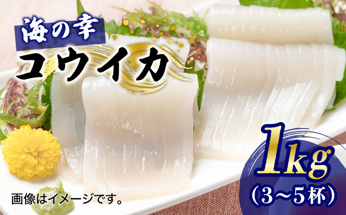 
                  【先行予約】【2027年3月下旬以降順次発送】豊前海産「 コウイカ 」約1kg (3～5杯)《築上町》【明青丸】 [ABCB001] イカ いか 刺身 烏賊 17000 17000円 1万円7千円
                