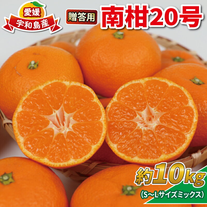 【ふるさと納税】 みかん 10kg 贈答用 優品 愛媛 南柑20号 S～L サイズ ミックス 玉津みかん ニュービジネスユニット 先行予約 温州 温州みかん 果物 くだもの フルーツ 柑橘 蜜柑 mikan 温州 愛媛ミカン 愛媛蜜柑 愛媛みかん 国産 産地直送 数量限定 宇和島 B018-058005