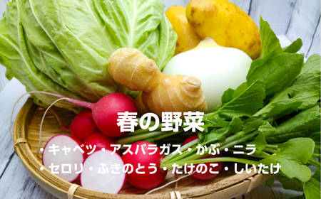 【ふるさと納税】山紫水明のまち 宮若 「ドリームホープ若宮」旬間 野菜セットC 季節 野菜 果物 詰め合わせ 九州 福岡 宮若市 ふるさと納税 おすすめ Ｍ634