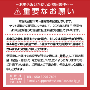 【2026年2月末までに配送】ラベルレス　富士山蒼天の水 500ｍl×48本（2ケース）※沖縄県、離島不可 天然水 ミネラルウォーター 水 ペットボトル 500ml バナジウム天然水 飲料水 軟水 鉱