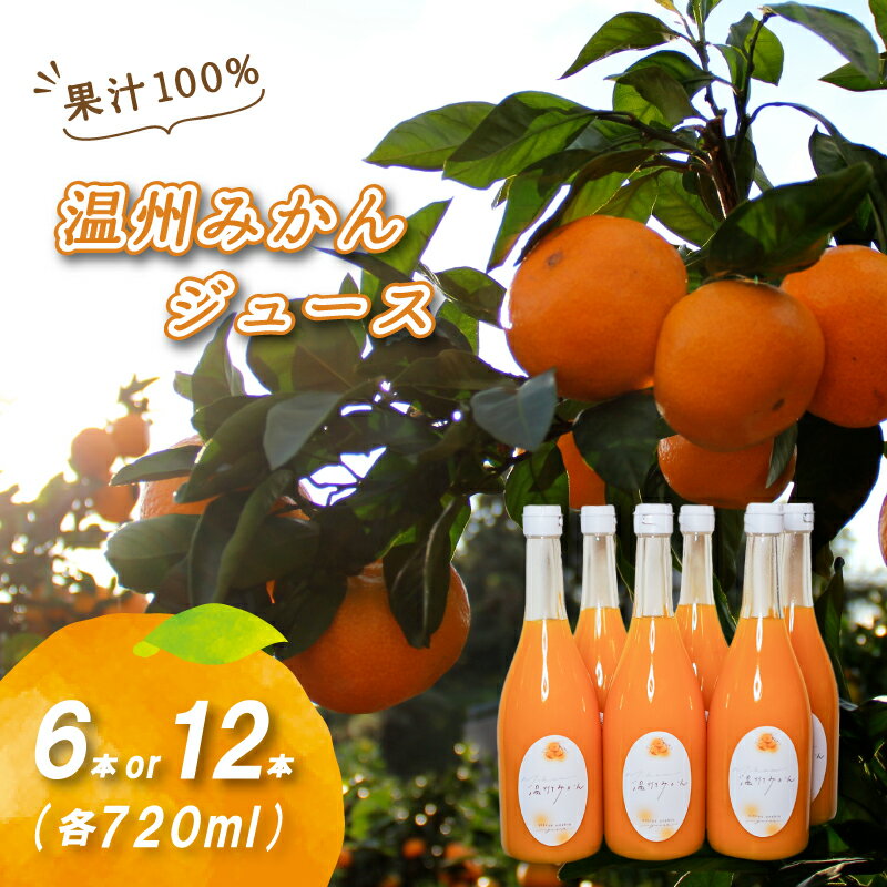【ふるさと納税】【2026年2月発送開始】 温州みかんジュース 720ml × 6本 / 12本 果汁100% 無添加 ストレートジュース 数量選択可 | みかんジュース 果汁100% みかんジュース ストレート 100% ジュース 柑橘 果汁飲料 みかんジュース NPO法人農音 愛媛県 松山市 中島