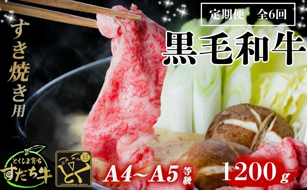 
                  定期便 6回お届け すだち牛黒毛和牛（すき焼き用）1.2kg　国産 牛肉 すき焼き 赤身 冷凍 お肉 肉 グルメ ギフト 和牛 霜降り カット 定期便
                